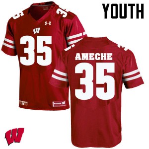 #35 Alan Ameche Badgers Youth Alumni Jerseys Red