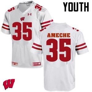 #35 Alan Ameche Badgers Youth College Jersey White