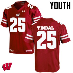 #25 Derrick Tindal Wisconsin Badgers Youth Player Jerseys Red