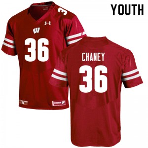 #36 Jake Chaney University of Wisconsin Youth Stitch Jerseys Red